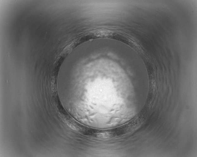 X0000060770411200512011617