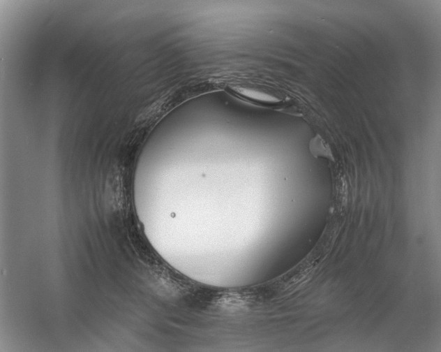 X0000060770416200512011617