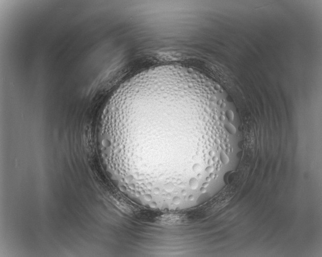 X0000060770418200512011617