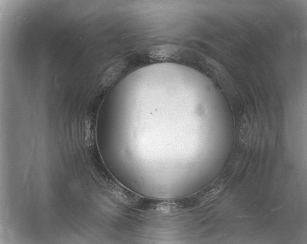 X0000060770420200512011617