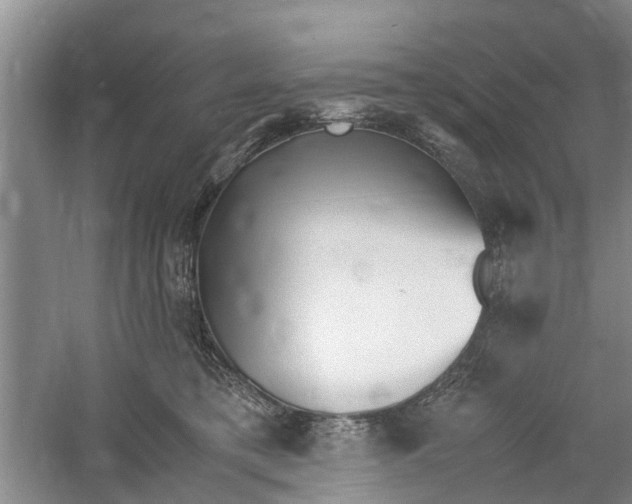 X0000060770421200512011617