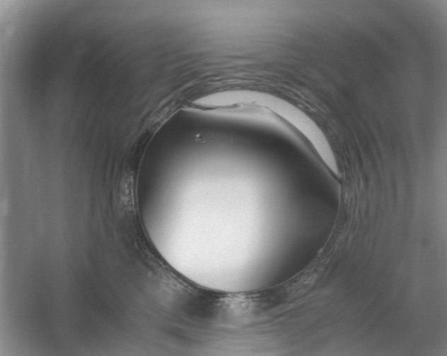 X0000060770425200512011617