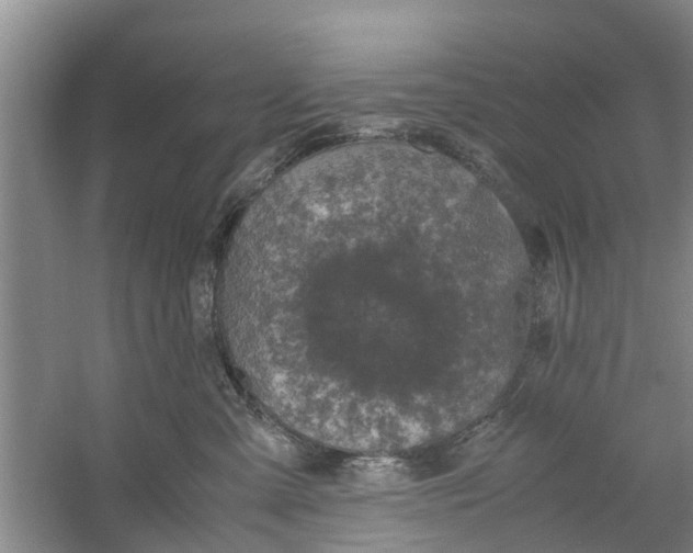 X0000060770427200512011617