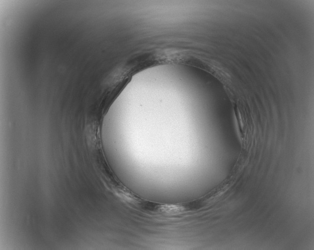 X0000060770429200512011617