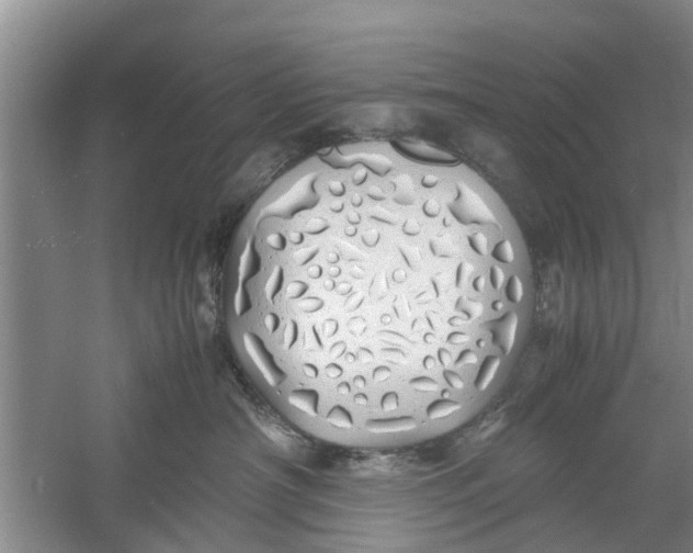 X0000060770430200512011617