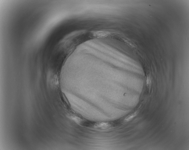 X0000060770431200512011617