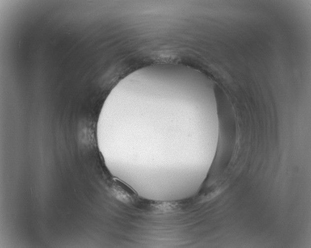 X0000060770432200512011617