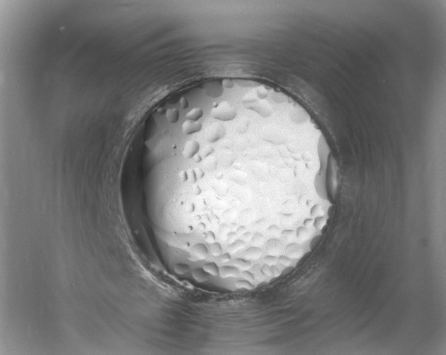 X0000060770433200512011616