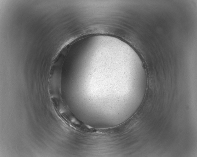 X0000060770434200512011616