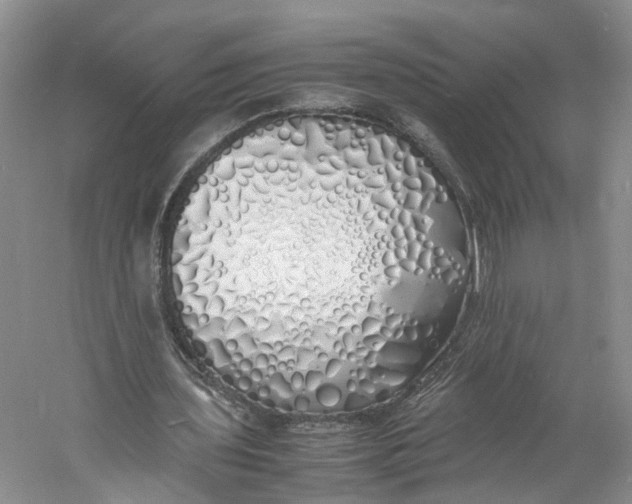 X0000060770435200512011616