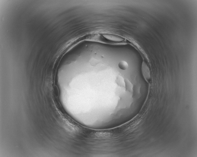 X0000060770437200512011616