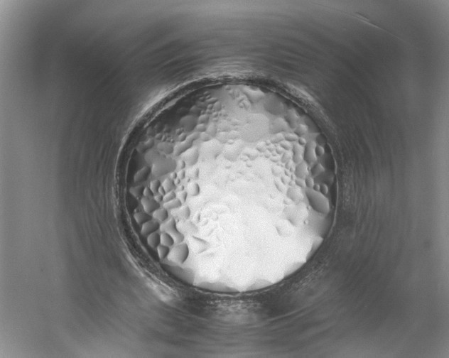 X0000060770439200512011616