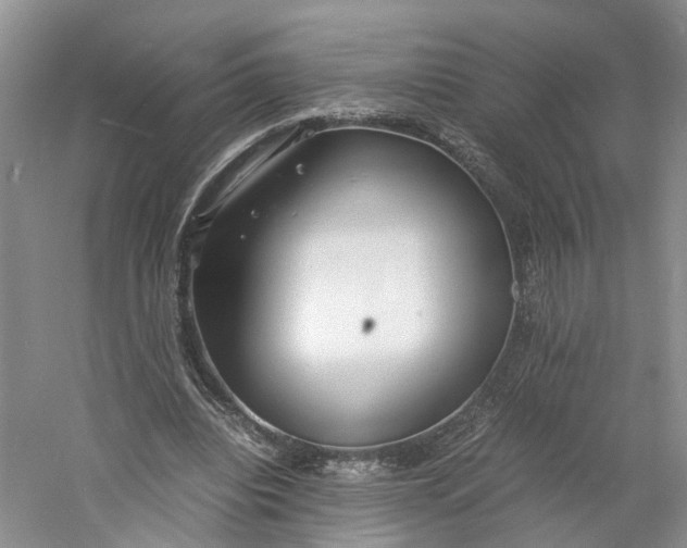 X0000060770440200512011616