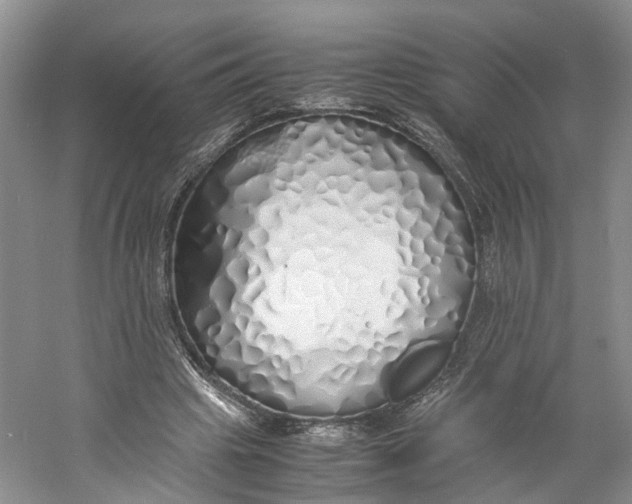 X0000060770441200512011616