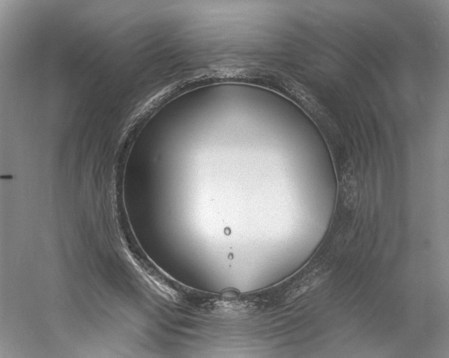 X0000060770442200512011616