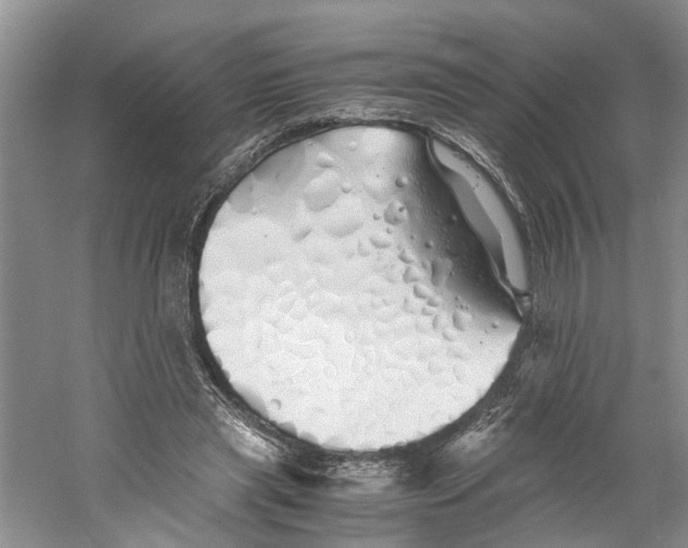 X0000060770445200512011616