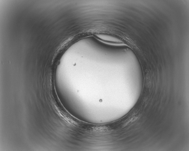 X0000060770446200512011616