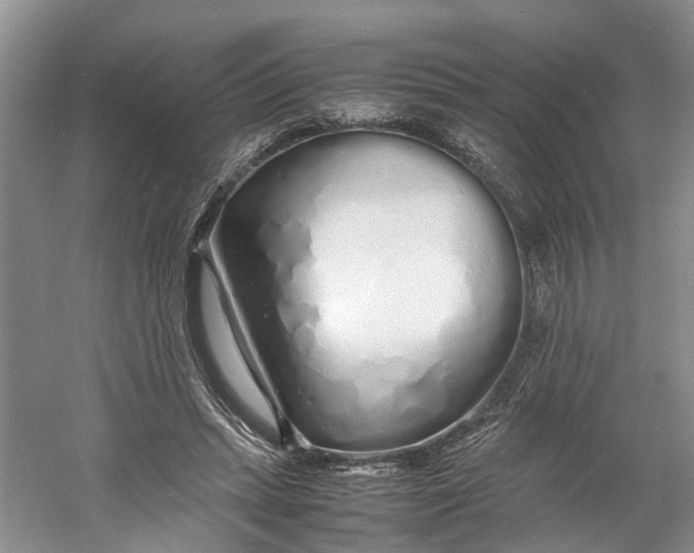 X0000060770447200512011616