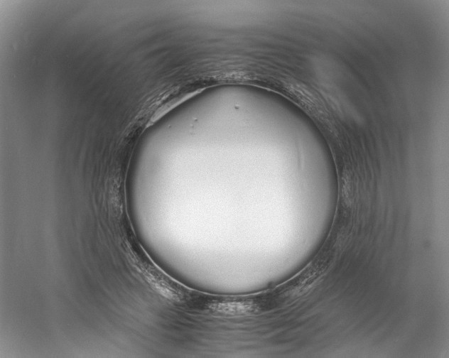 X0000060770449200512011616