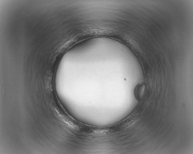 X0000060770450200512011616