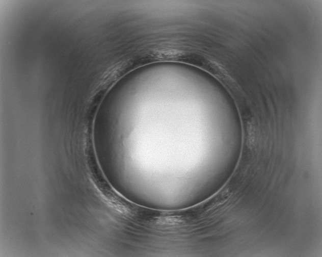 X0000060770451200512011616