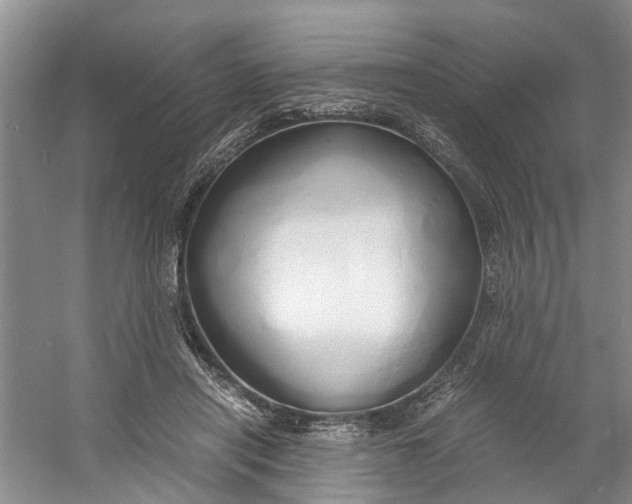 X0000060770454200512011616