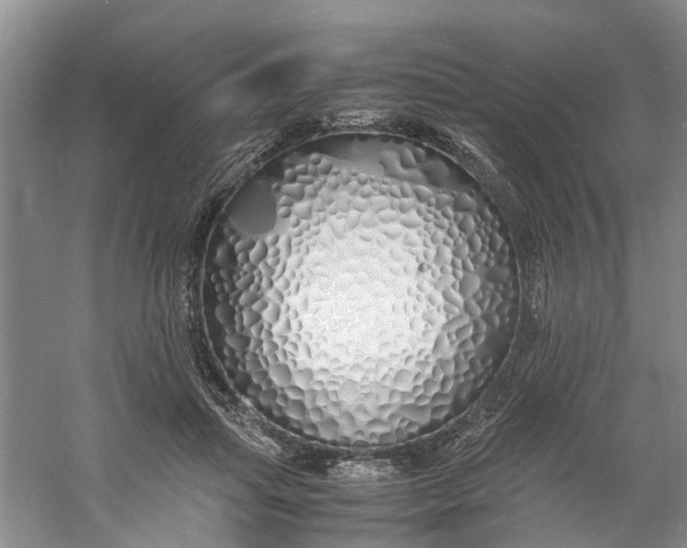 X0000060770455200512011616