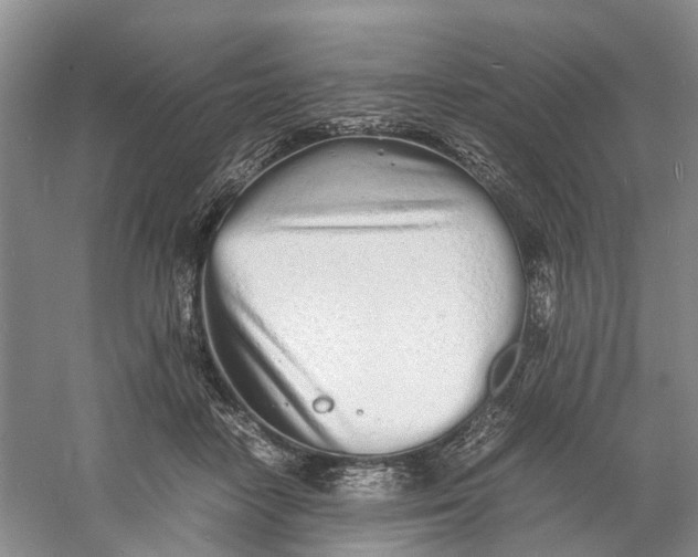 X0000060770458200512011616