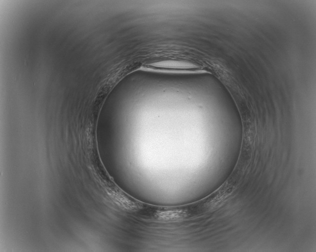 X0000060770461200512011616