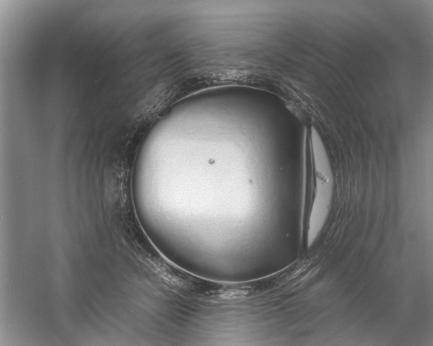 X0000060770462200512011616