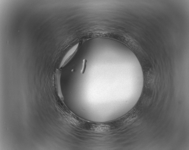 X0000060770463200512011616