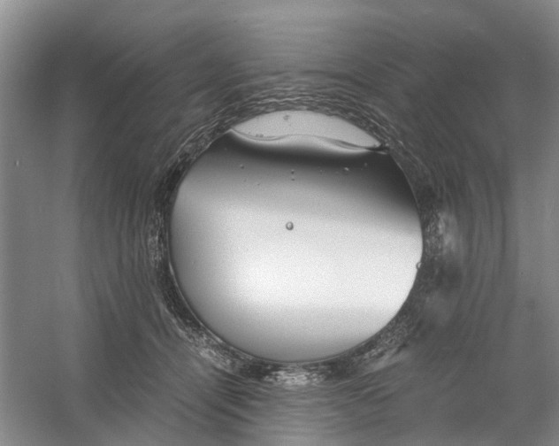 X0000060770464200512011616