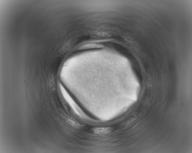 X0000060770465200512011616