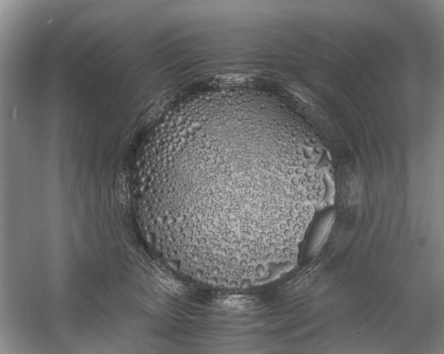 X0000060770467200512011616