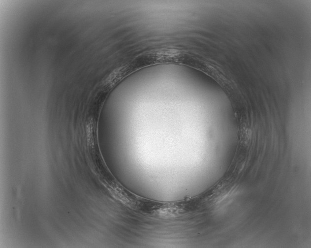 X0000060770468200512011616