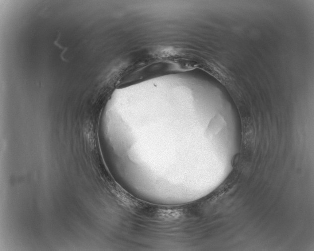 X0000060770469200512011616