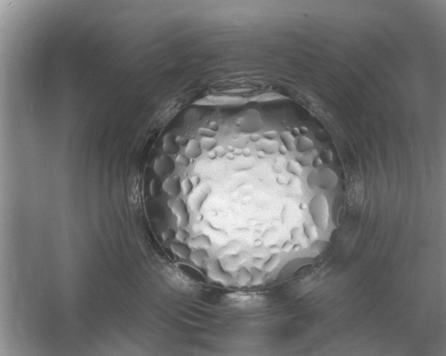 X0000060770477200512011617