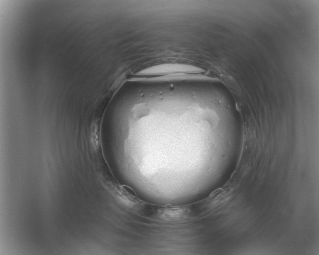 X0000060770479200512011617