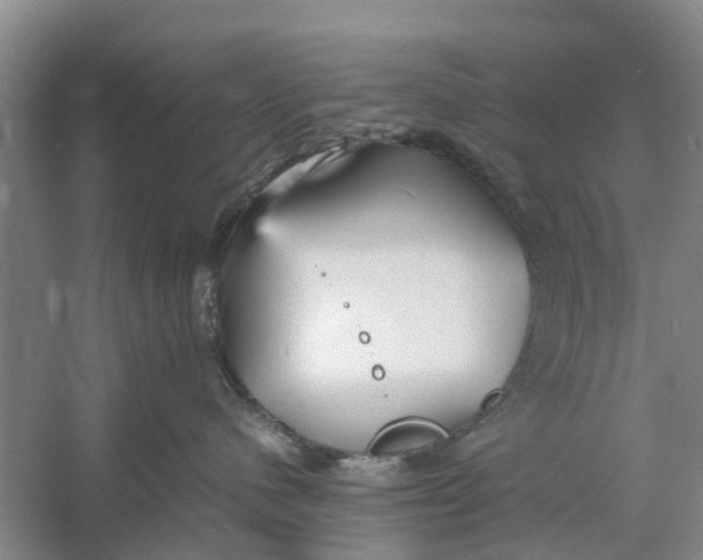 X0000060770480200512011617