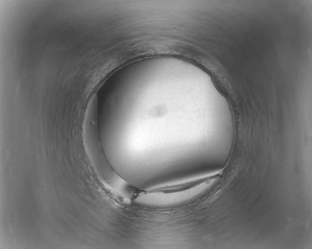 X0000060770481200512011616