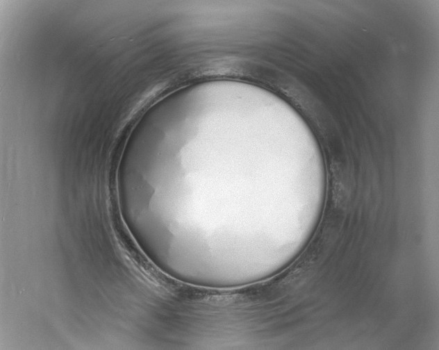 X0000060770482200512011616