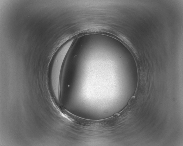 X0000060770485200512011616