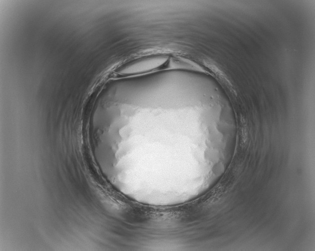 X0000060770486200512011616