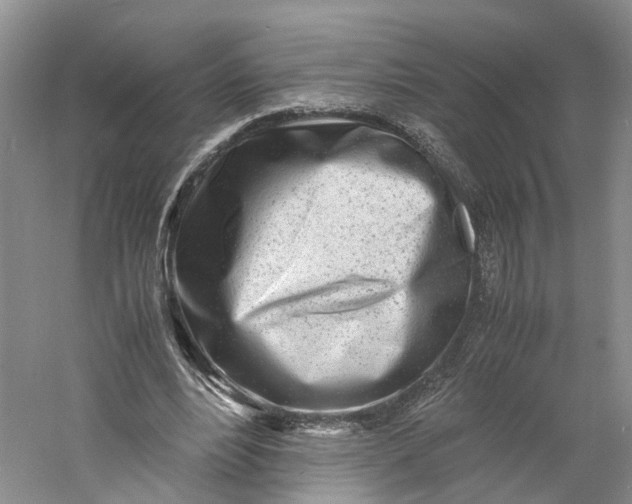 X0000060770488200512011616