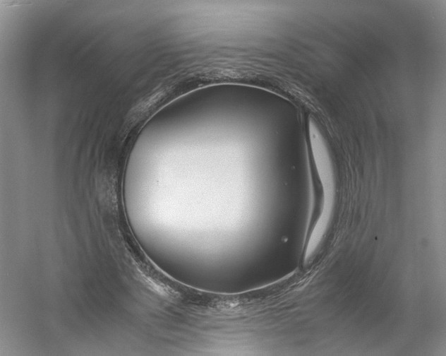 X0000060770489200512011616