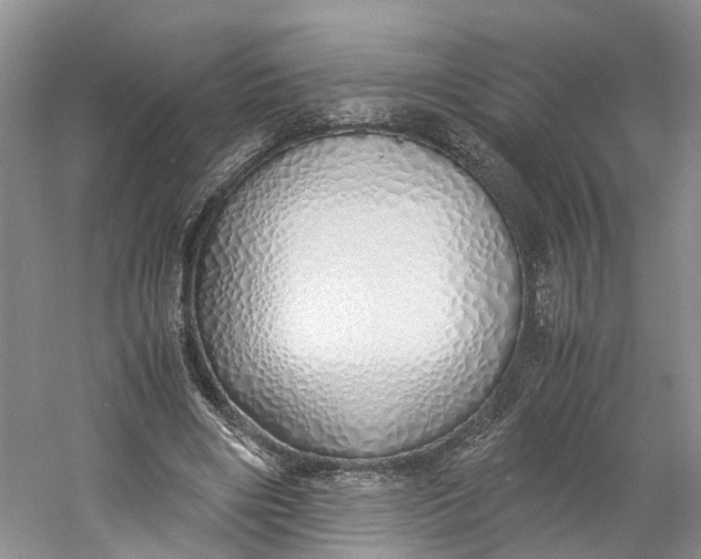 X0000060770490200512011616