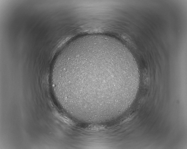 X0000060770491200512011616