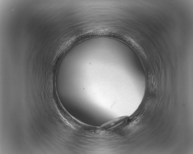 X0000060770493200512011616