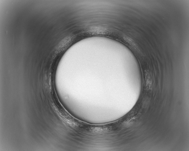 X0000060770494200512011616