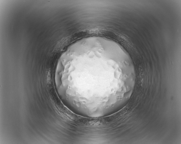 X0000060770502200512011615